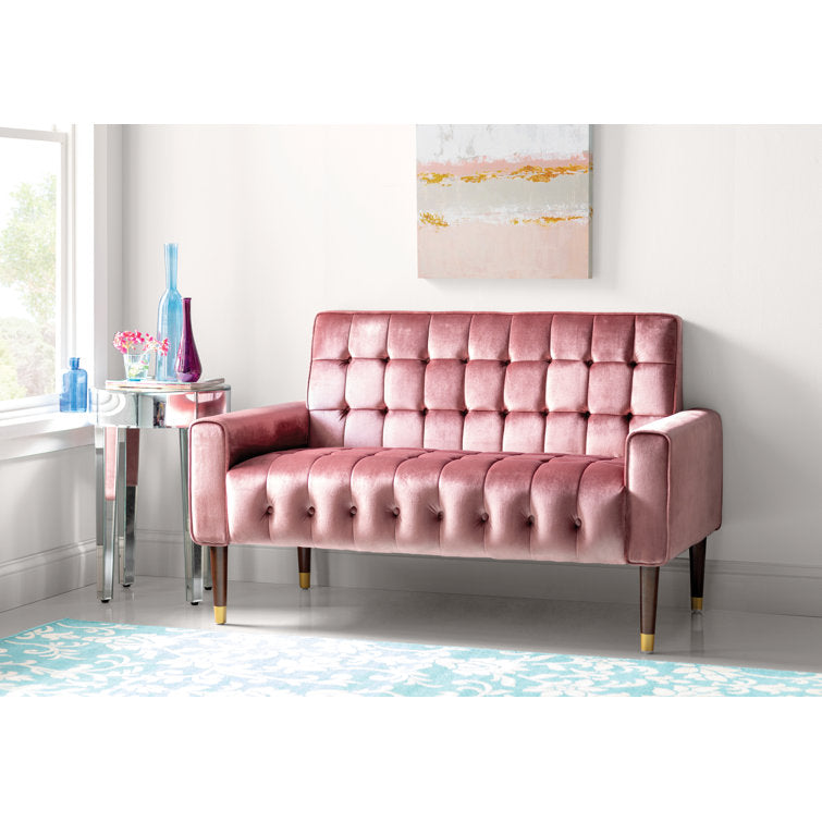 https://assets.wfcdn.com/im/67654962/resize-h755-w755%5Ecompr-r85/1052/105235326/Papillion+51.75%27%27+Velvet+Loveseat.jpg