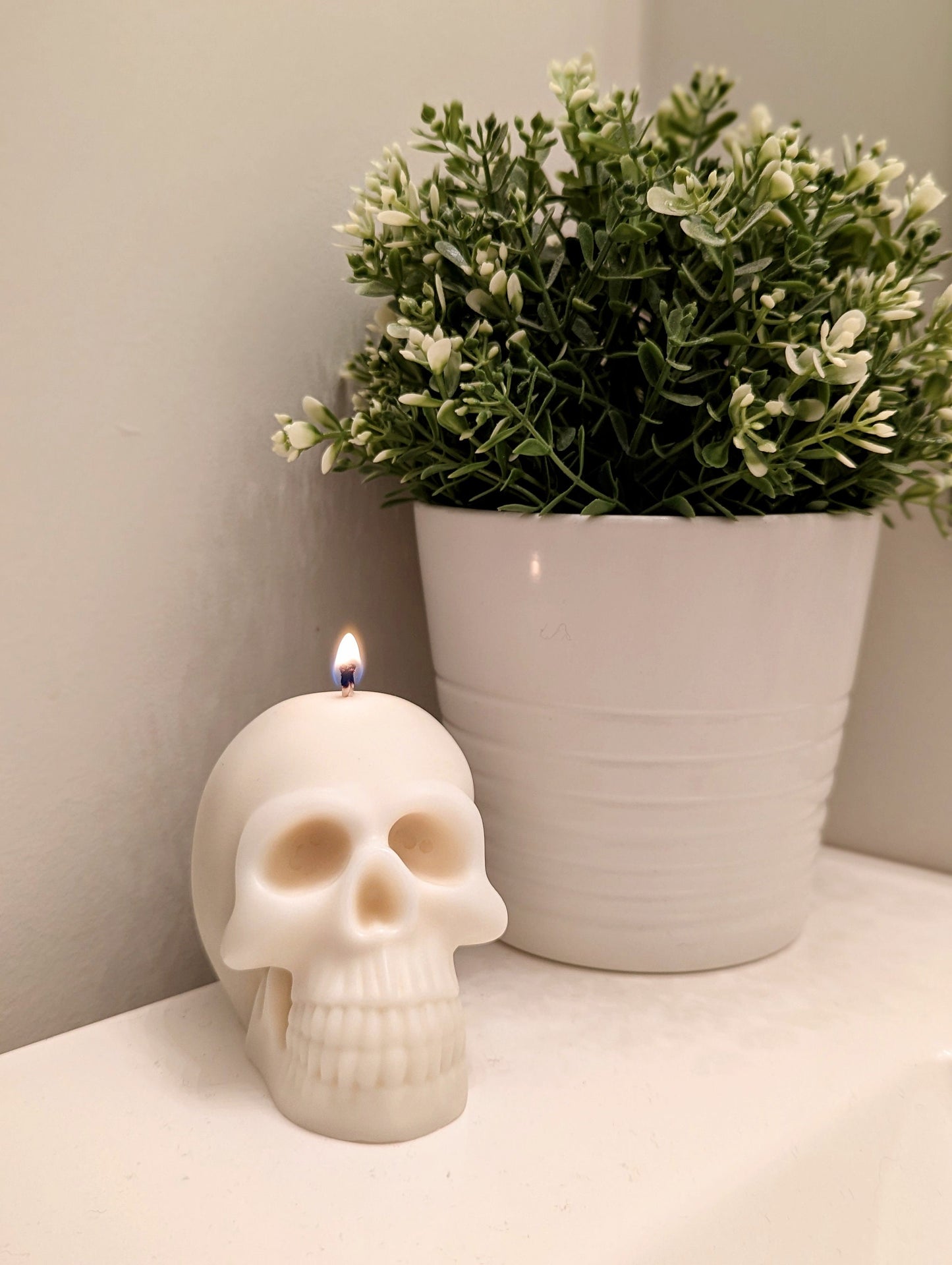 https://i.etsystatic.com/32950093/r/il/06babb/4409015027/il_fullxfull.4409015027_98qc.jpg
