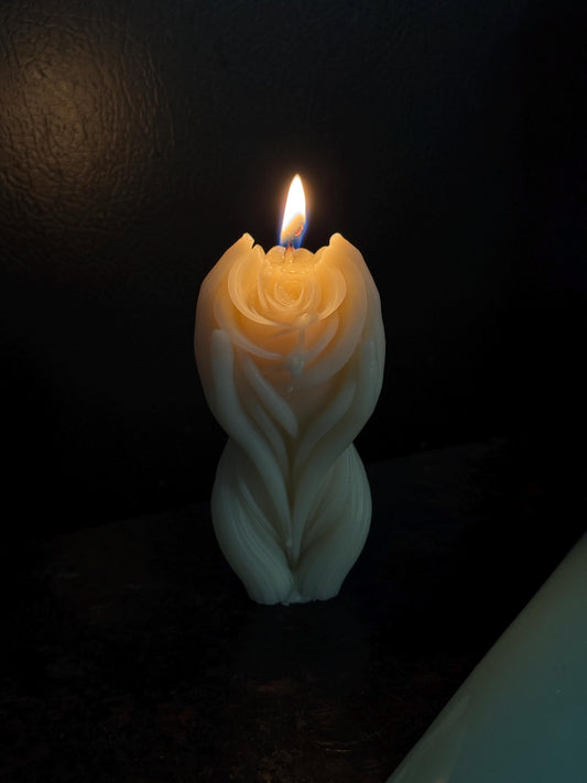 https://i.etsystatic.com/50404081/r/il/8687a0/6965414373/il_fullxfull.6965414373_ekh4.jpg